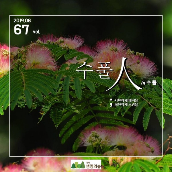 d58fea5244b8f520b0b7444789d7b484_1615948172_7704.JPG