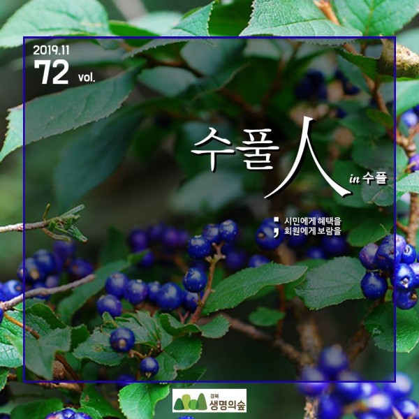 d58fea5244b8f520b0b7444789d7b484_1615948485_3996.JPG