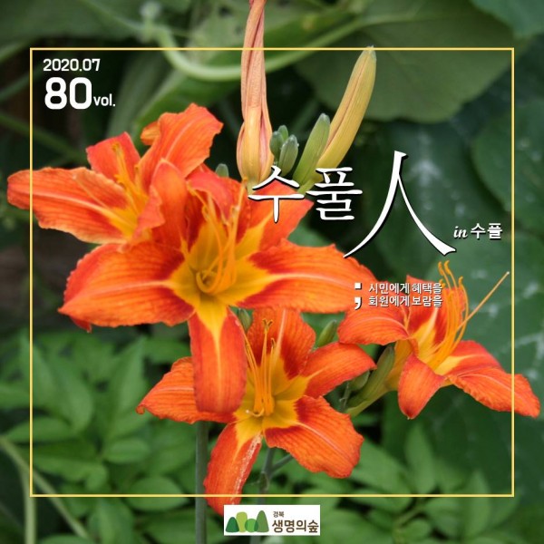 d58fea5244b8f520b0b7444789d7b484_1615951918_7036.JPG