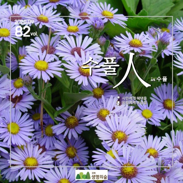 d58fea5244b8f520b0b7444789d7b484_1615952264_1404.JPG