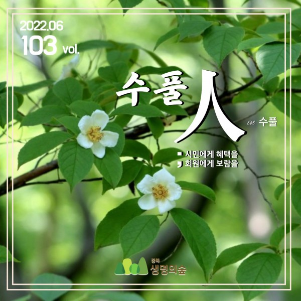 2750cd32651c7bb3bbd760855bece83d_1656574980_9843.jpg