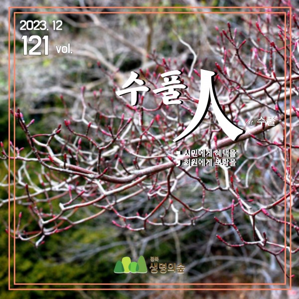 75dde316f56281117a27db39b23f6caf_1703830728_0446.jpg