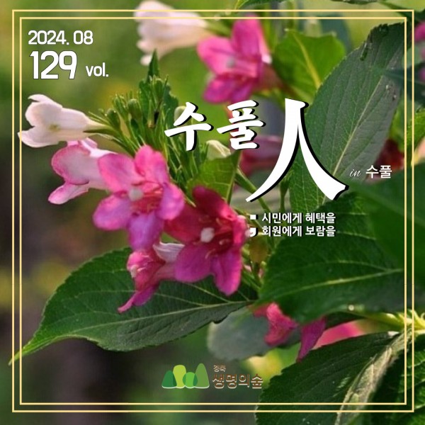 bd95387ce54dba672be3899430ebddc3_1724987621_4038.jpg
