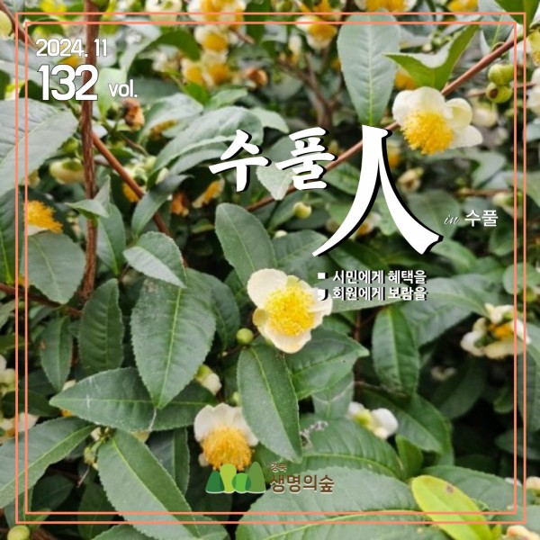 a6514736fa45c3de5872894096390d02_1732865967_3244.jpg